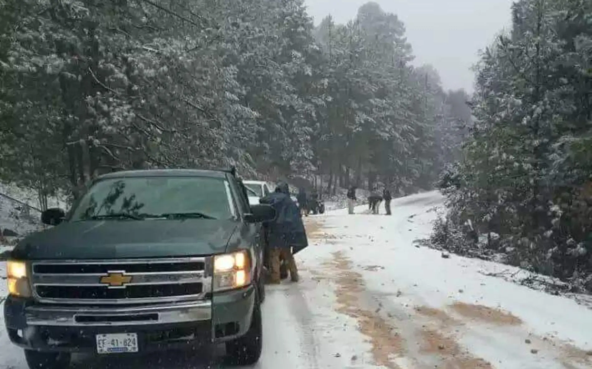 Guadalupe y Calvo nieve2